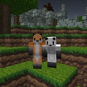 Meet your Posher, Cameron